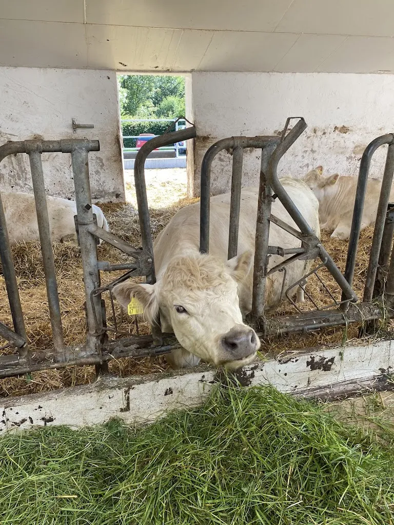 Rasmus Fuhrmann_Gut Aiderbichl Iffeldorf_Iffeldorf_review