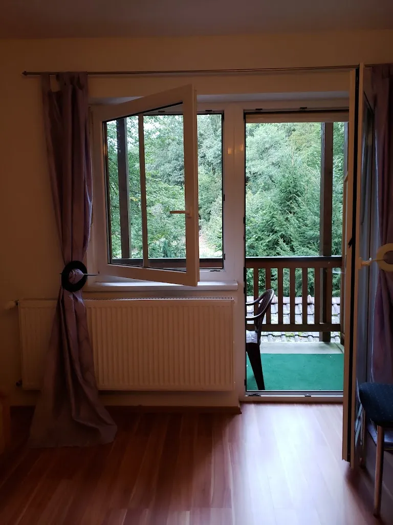 Chelsey Young_Restaurant - Pension Weihermühle_Iggensbach_review