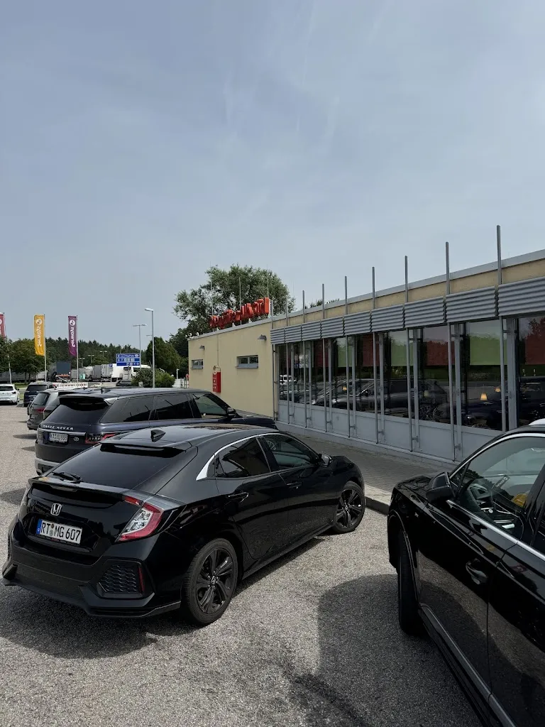 A V_Gusticus_Illschwang_review