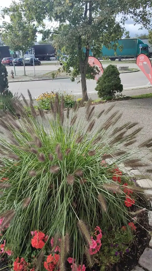 Serways Raststätte Bayerischer Wald Nord_Hunderdorf_slider_image_2