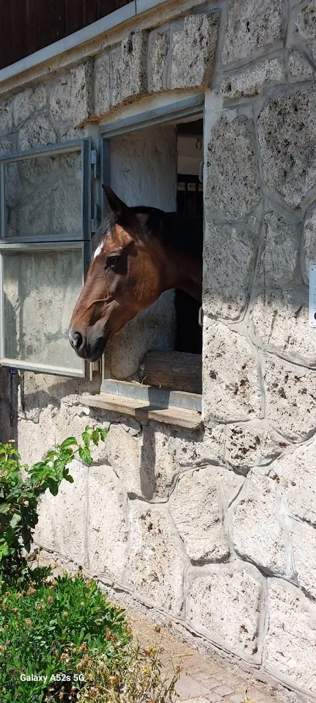 Nadia Wolmarans_Thanner Einkehr_Holzkirchen_review