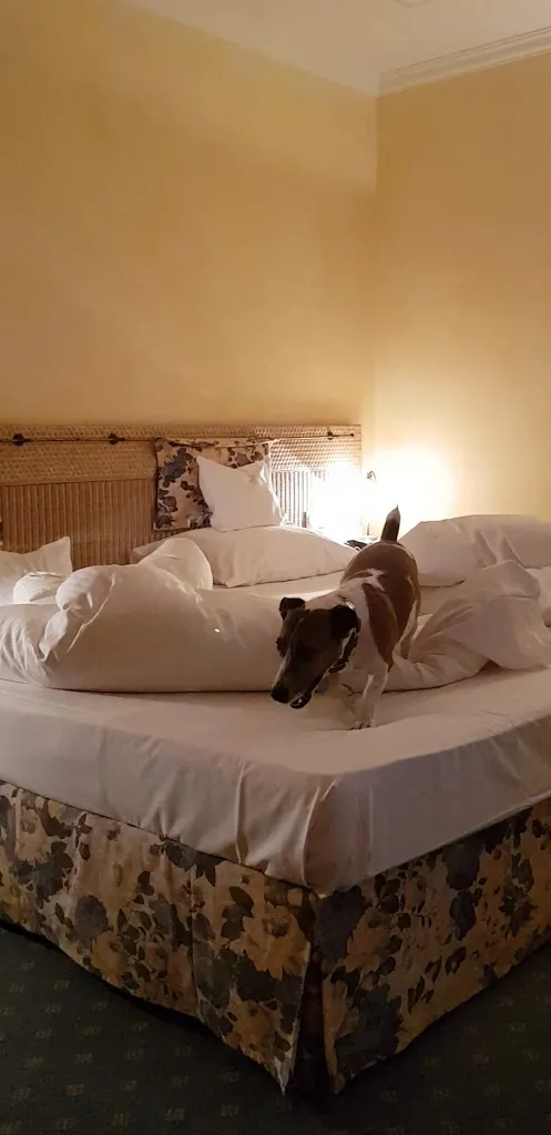 Hotel Und Landgasthof Altwirt ristorante a Holzkirchen