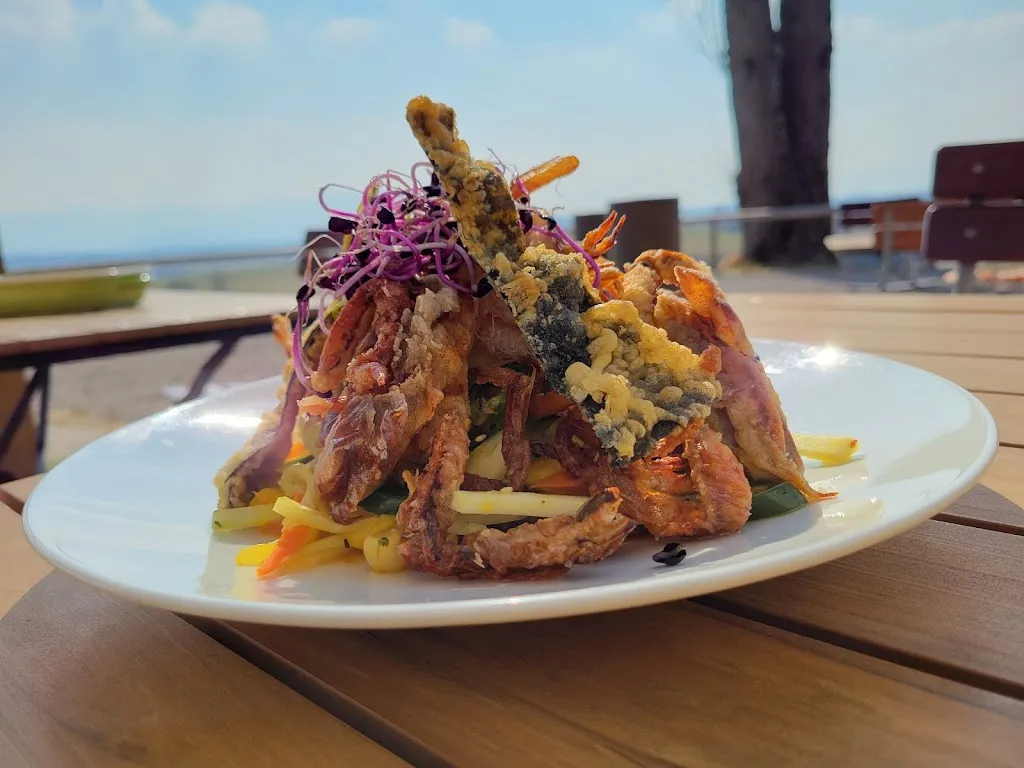 melissa z_Moar Alm._Sachsenkam_review