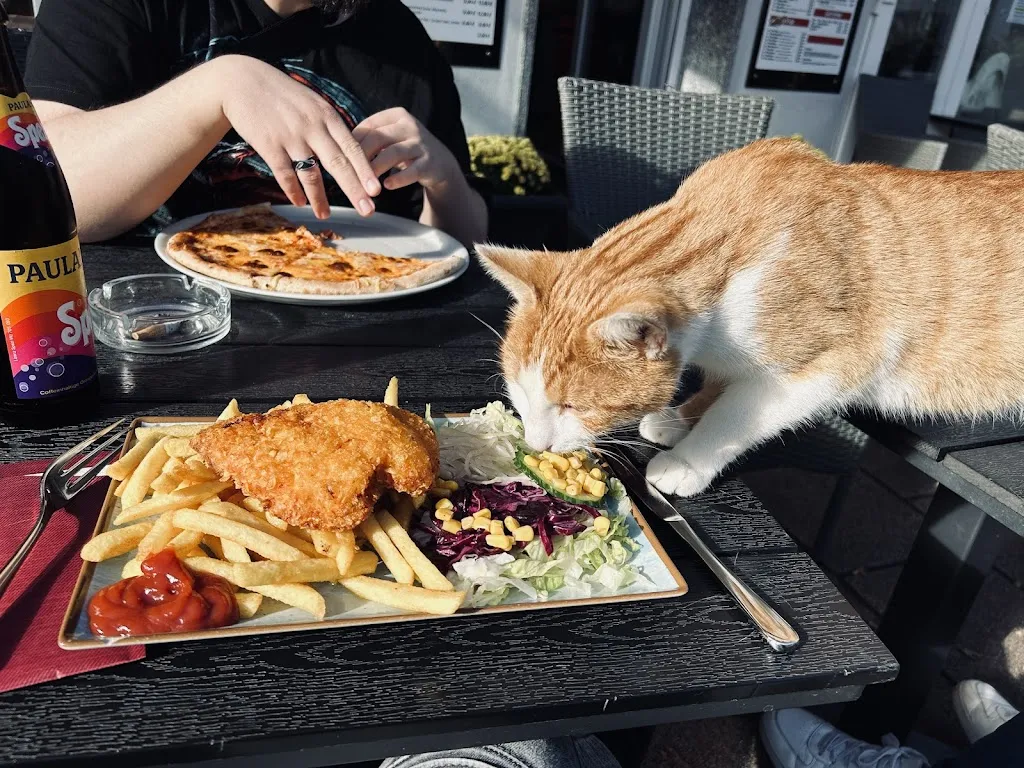Menu_Kebap Freunde Aulendorf_Aulendorf_image_3