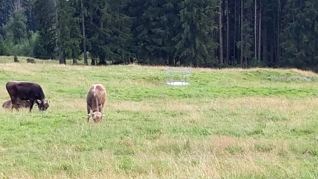 Siedelalpe_Immenstadt_slider_image_2