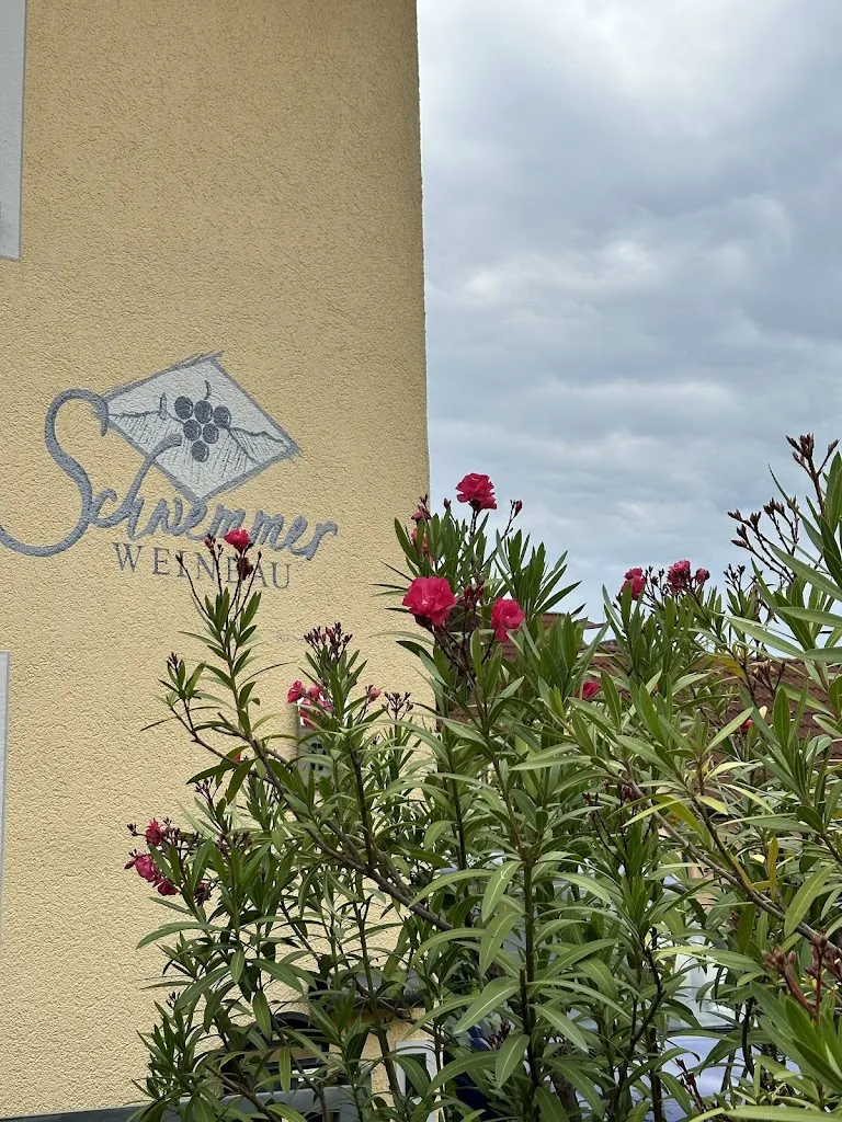 Matthias Wimmer_Schwemmer Weinbau Wengertsstübla_Ippesheim_review