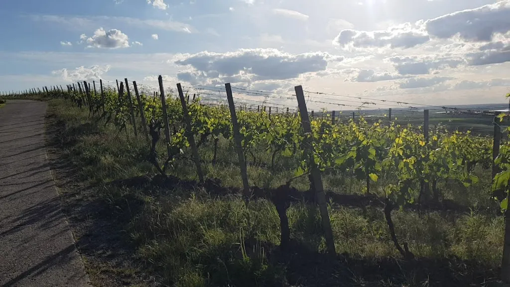 Weinparadiesscheune_Ippesheim_slider_image_2