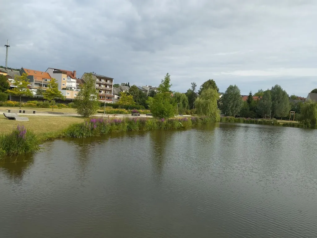 Ngoc Son Nguyen_Asia-Imbiss Bambus_Tirschenreuth_review