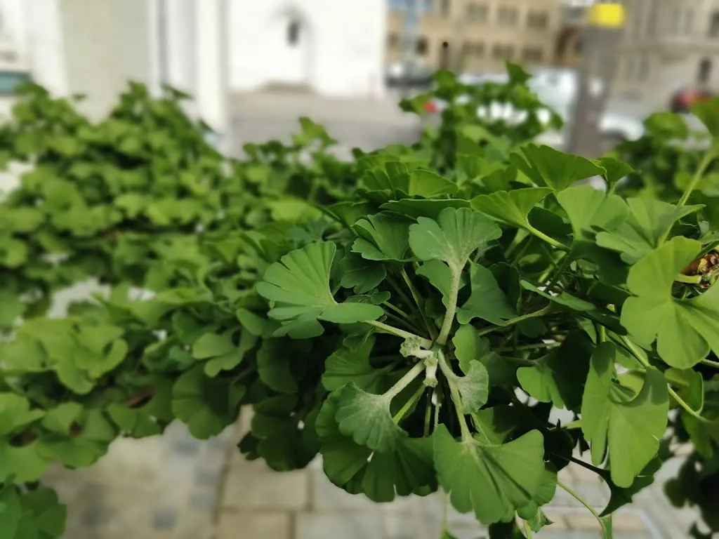 Menu_Gasthaus Pfaffelbräu_Ilm_immagine_3