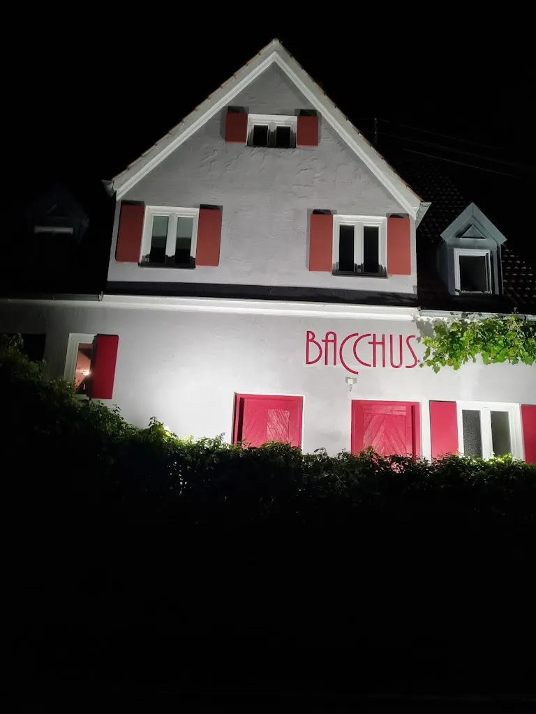 Bacchus Weinlokal_Kaisheim_slider_image_2