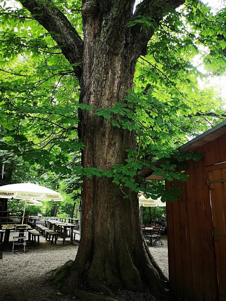 Kastanienbiergarten_Kaisheim_slider_image_2