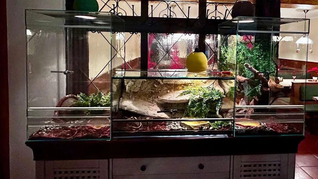 Gasthof Zur Post - Ungarische und Bayerische Restaurant ristorante a Ammersee