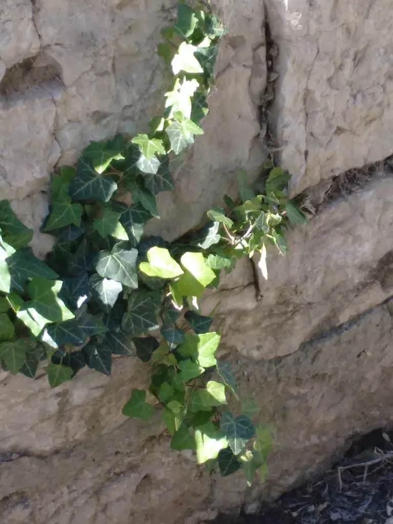 Raumstation Sternen_Auggen_slider_image_3