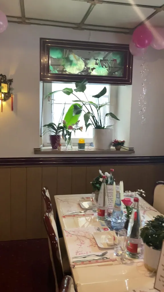 Sushi Chi Mindelheim_Mindelheim_slider_image_2