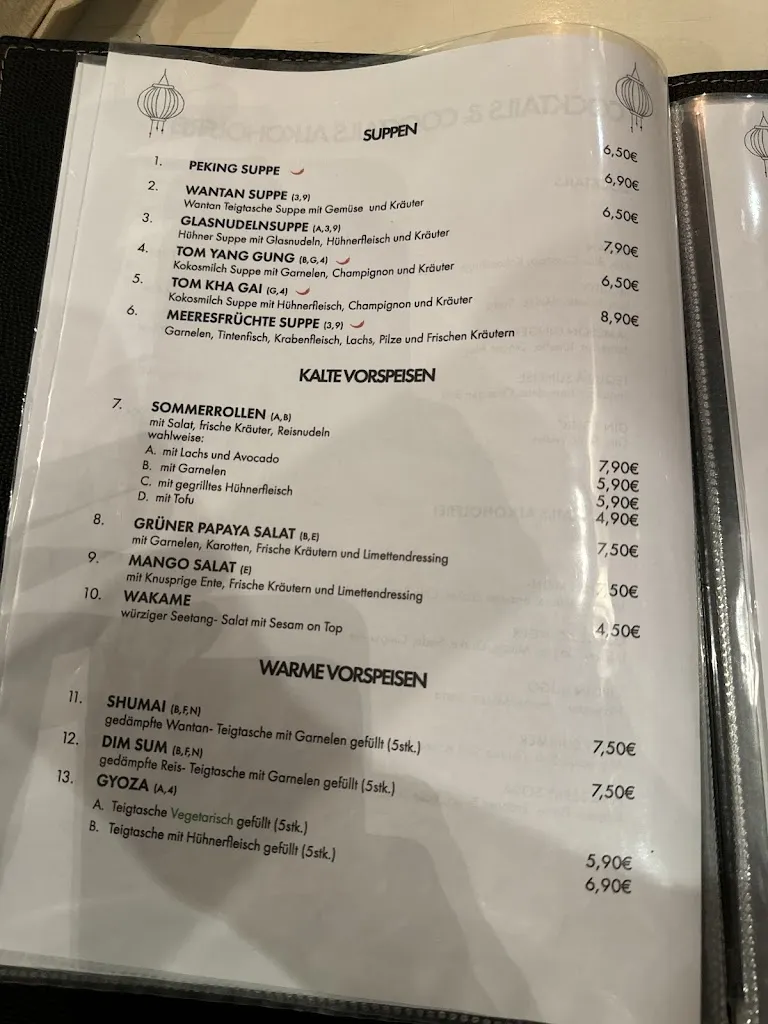 Menu_COZY Asiatisches Restaurant_Karlshuld_image_2