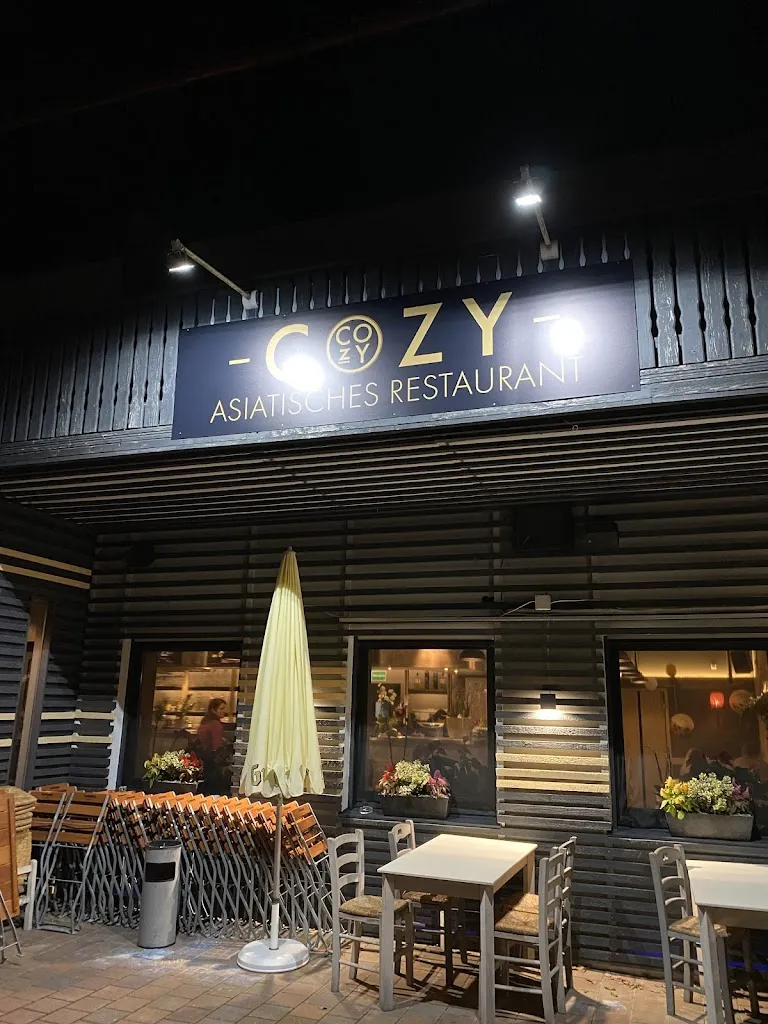 Jayde Müller_COZY Asiatisches Restaurant_Karlshuld_review
