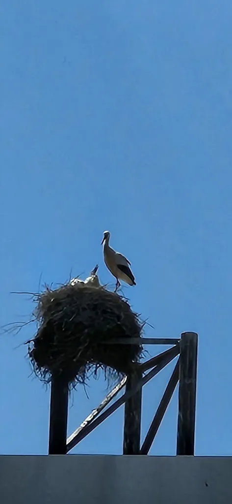 Emmi's Gourmo-Treff restaurant in Jettingen-Scheppach