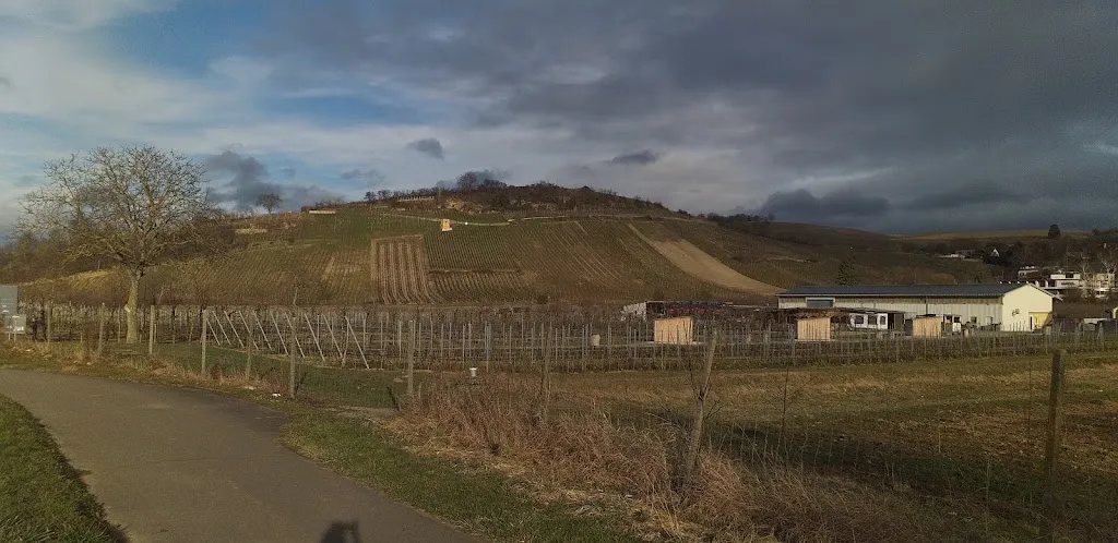 Wein-und Obsthof Rüdlin Auggen_Auggen_slider_image_2