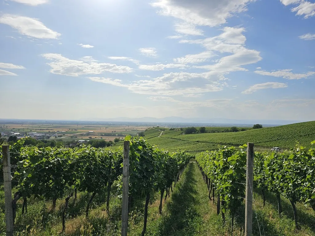 Wein-und Obsthof Rüdlin Auggen_Auggen_slider_image_3