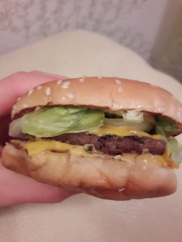 Menu_Burger King_Jettingen-Scheppach_immagine_2