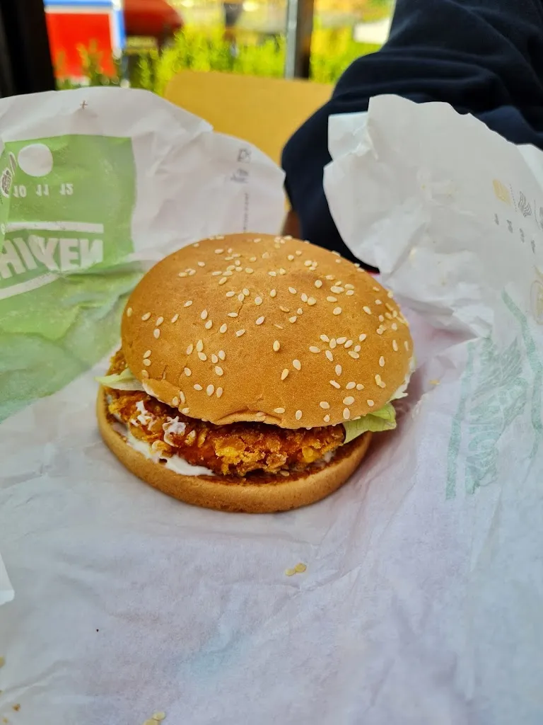 Menu_Burger King_Jettingen-Scheppach_immagine_9