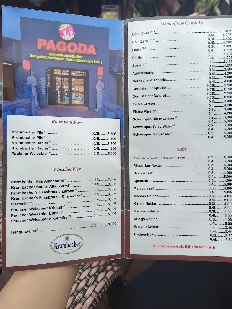 Menu_Chinarestaurant Pagoda GmbH_Göttingen_image_4