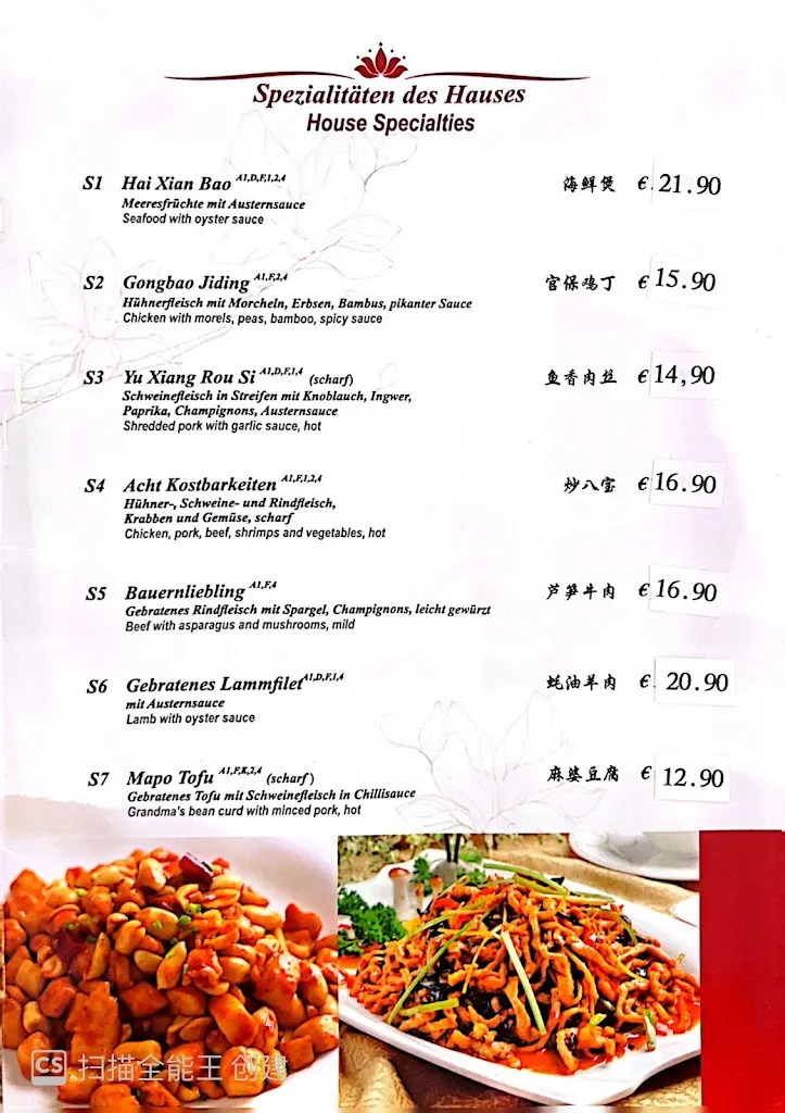 Menu_China Restaurant Orchidee_Göttingen_immagine_1