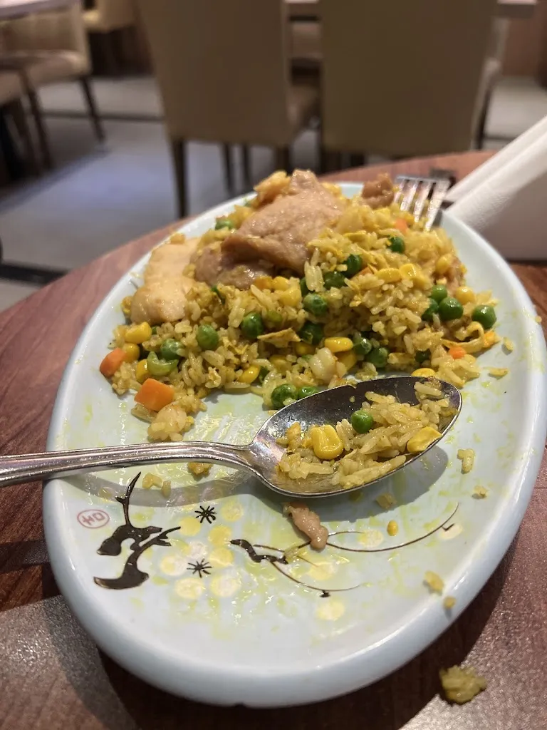 Abulfazl Rezaei_China Restaurant Orchidee_Göttingen_review