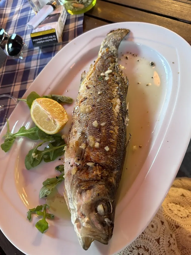 Sofia Purnima Tagliabue_Ristorante Pizzeria Sapore di Mare_Karlstadt_review