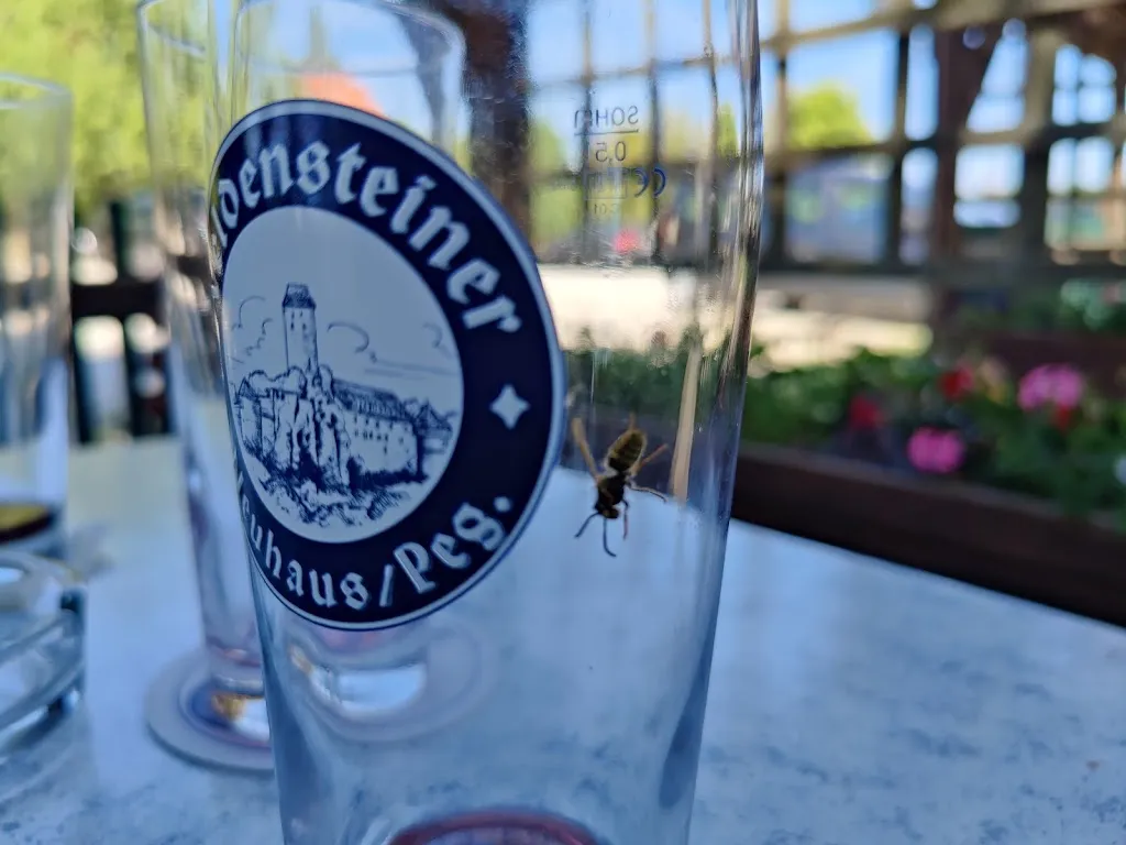 Menu_Landgasthof Kapellenhof_Pottenstein_immagine_3