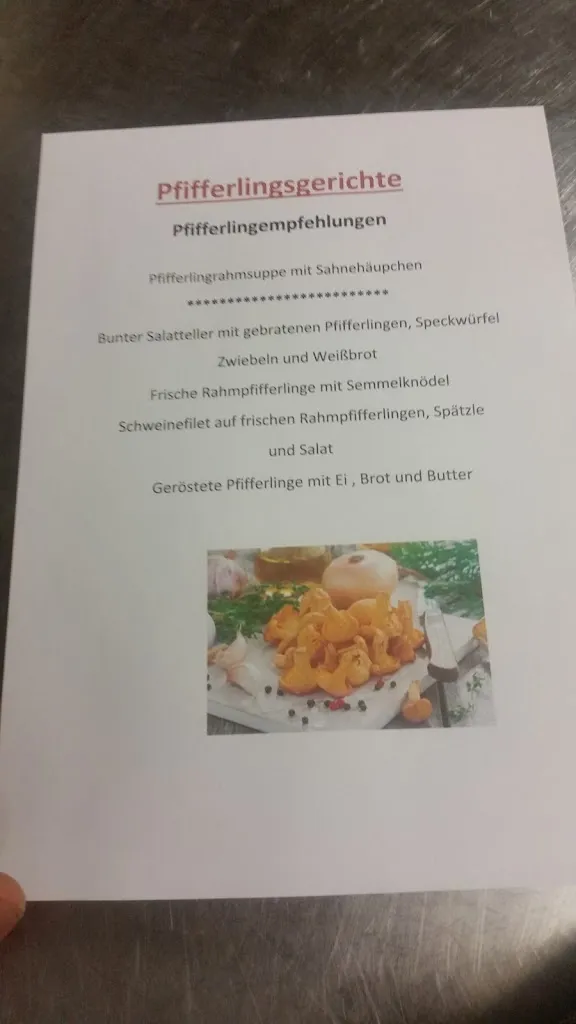 Menu_Landgasthof Meinzer_Donau_immagine_2