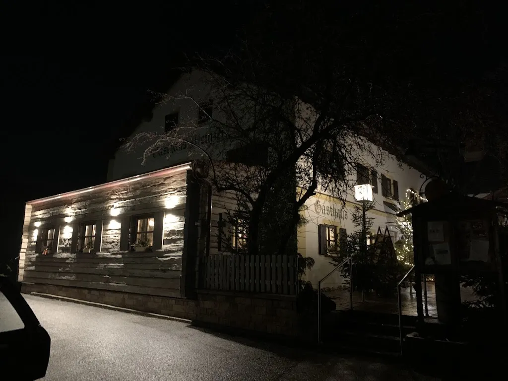 Holger Rovini_Landgasthof Meinzer_Donau_review