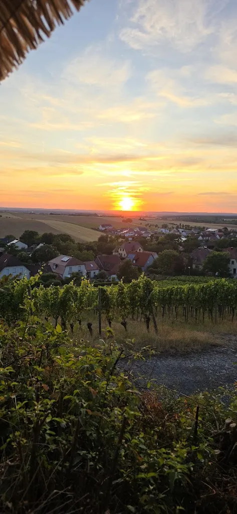 Katrin_Weingarten Castell_Castell_review