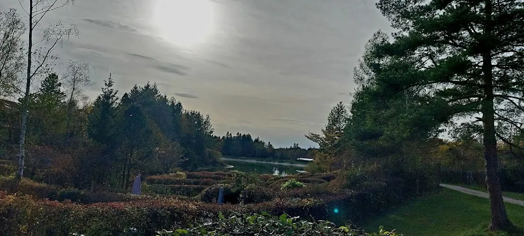 Christian Hortelano-Rednak_Restaurant Bibisee_Königsdorf_review