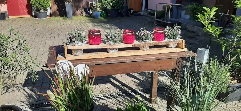 Daniela Kümmert_Landgasthaus Römerhof_Kitzingen_review