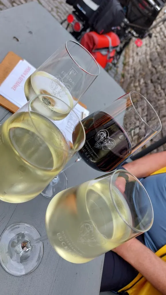 Menu_Vinothek & Vinobistro Luckert GbR_Main_immagine_8