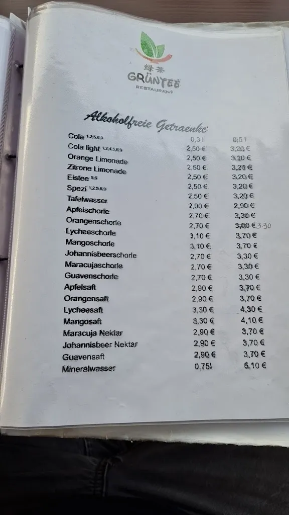 Menu_Asia Restaurant Grüntee_Kolbermoor_image_4