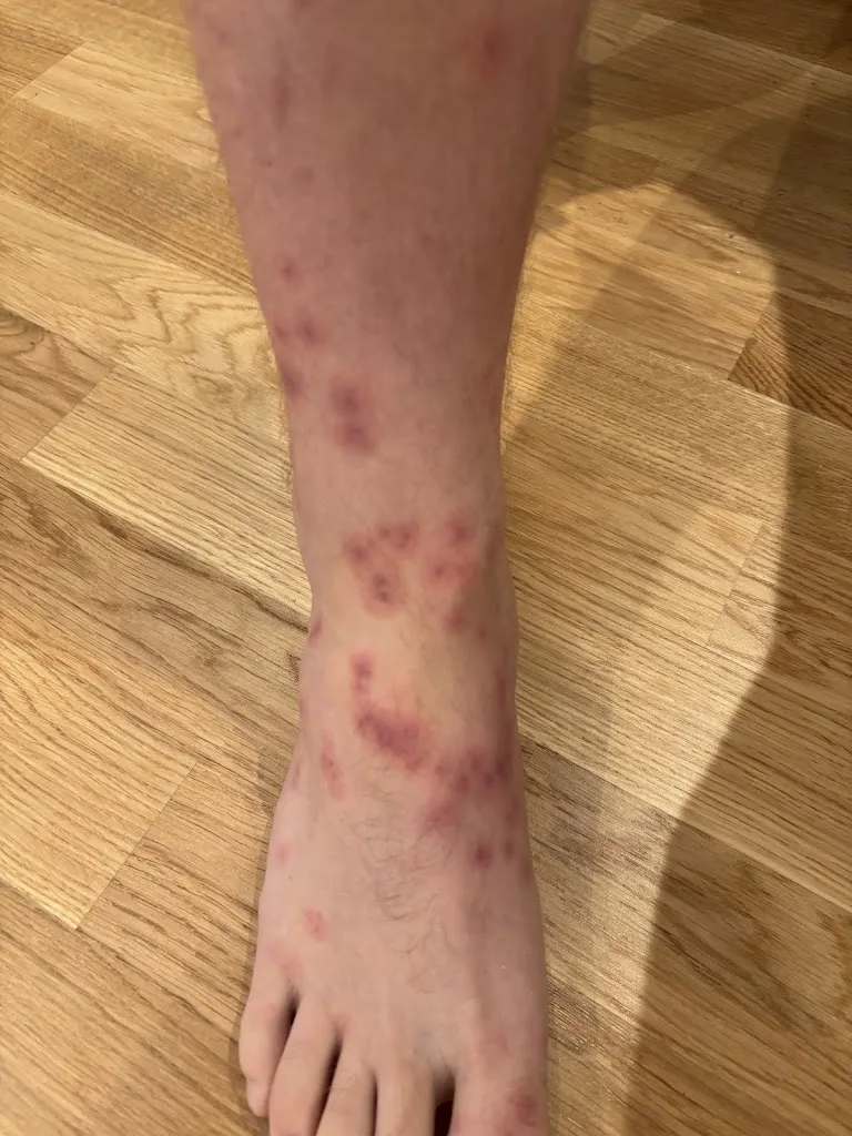 Brooke Ballengee_Hotel und Restaurant Karwendelblick_See_review