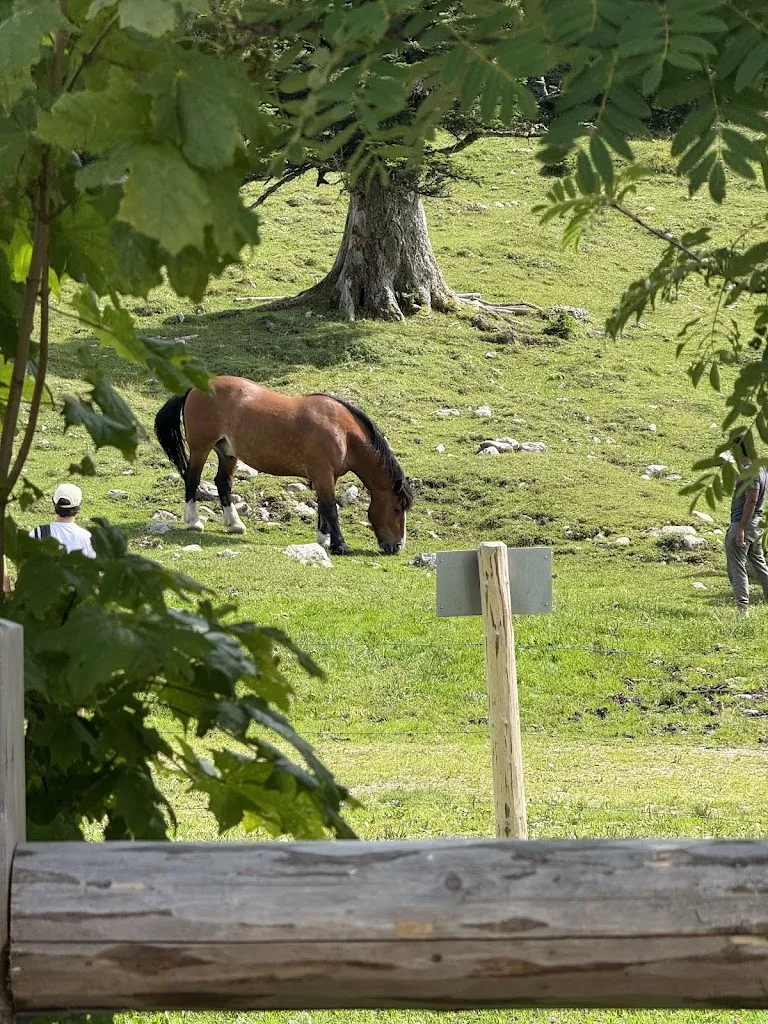Alexandra_Jocheralm_Jachenau_Bewertung
