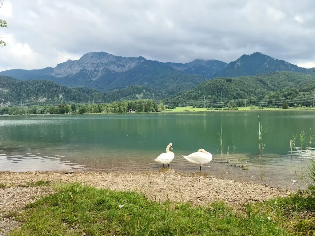Schlehdorf am Kochelsee restaurant in Schlehdorf