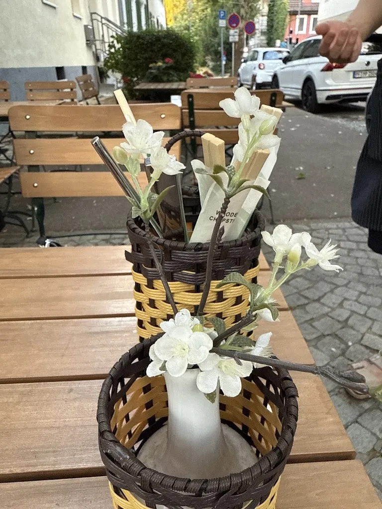 Robert Dragos_Umami Hasu_Teck_review