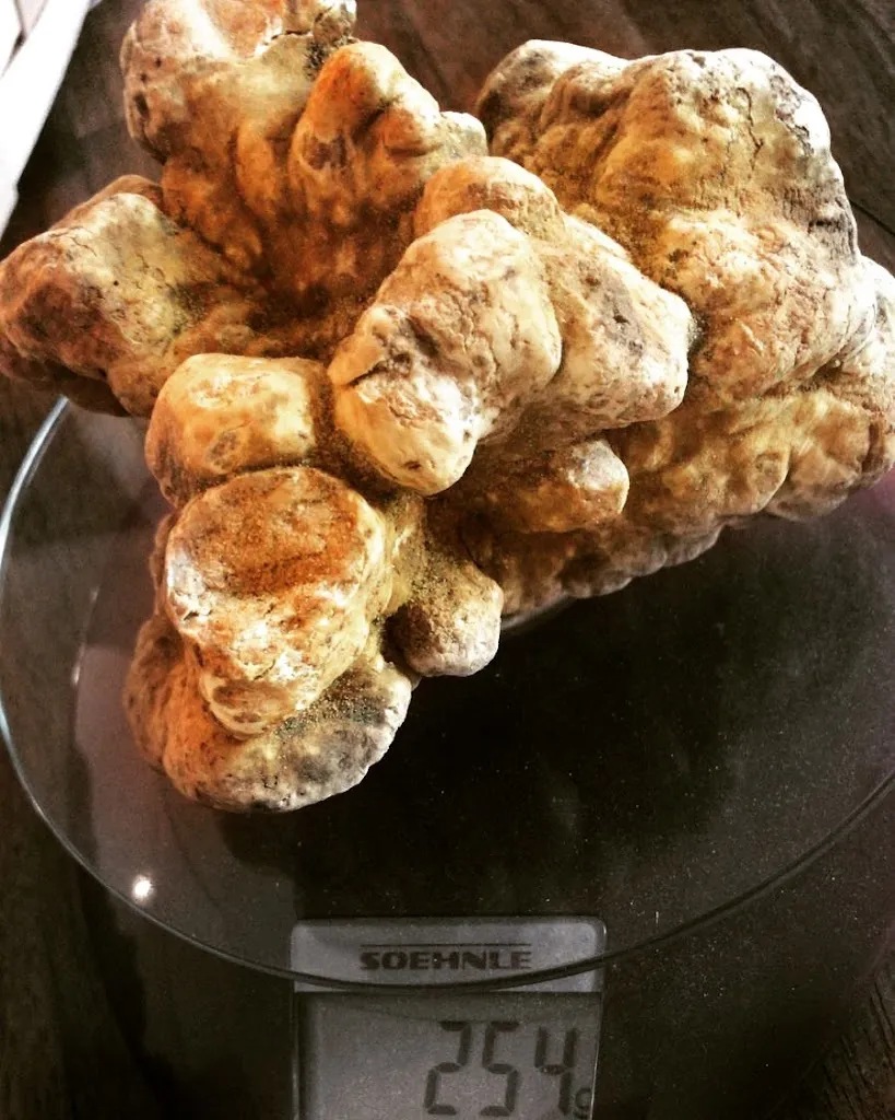 Menu_Hotel Villa Behr_Neckar_image_5