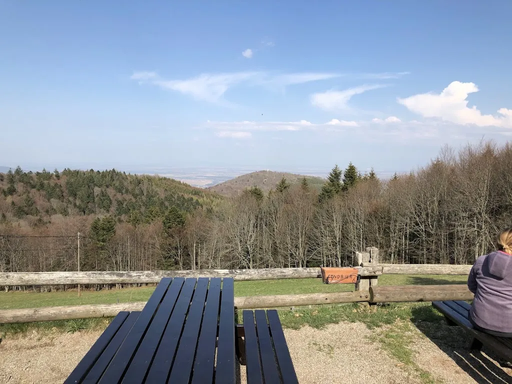 Fred US_Ferme Auberge du Molkenrain_France_review