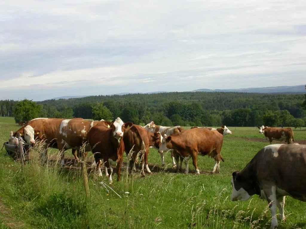 Rangabauer_Ködnitz_slider_image_1