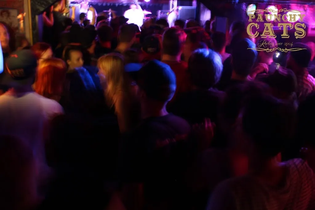 Paunchy Cats_Lichtenfels_slider_image_3