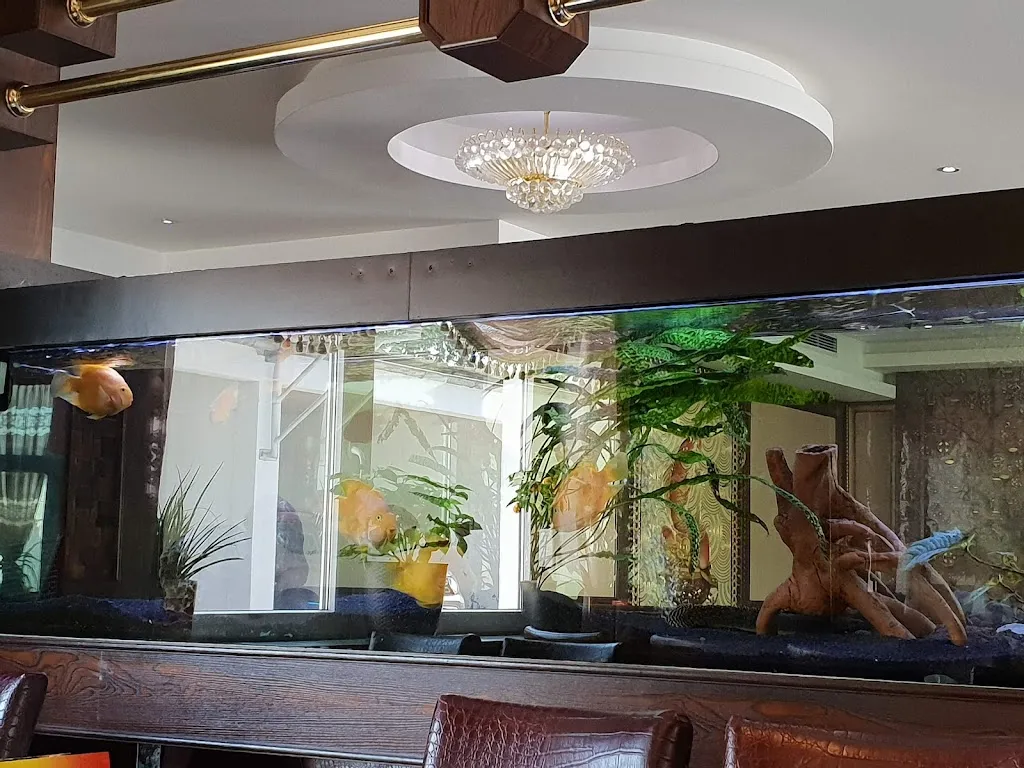 Chinatown Chinesisches Restaurant restaurant in (Schwaben)