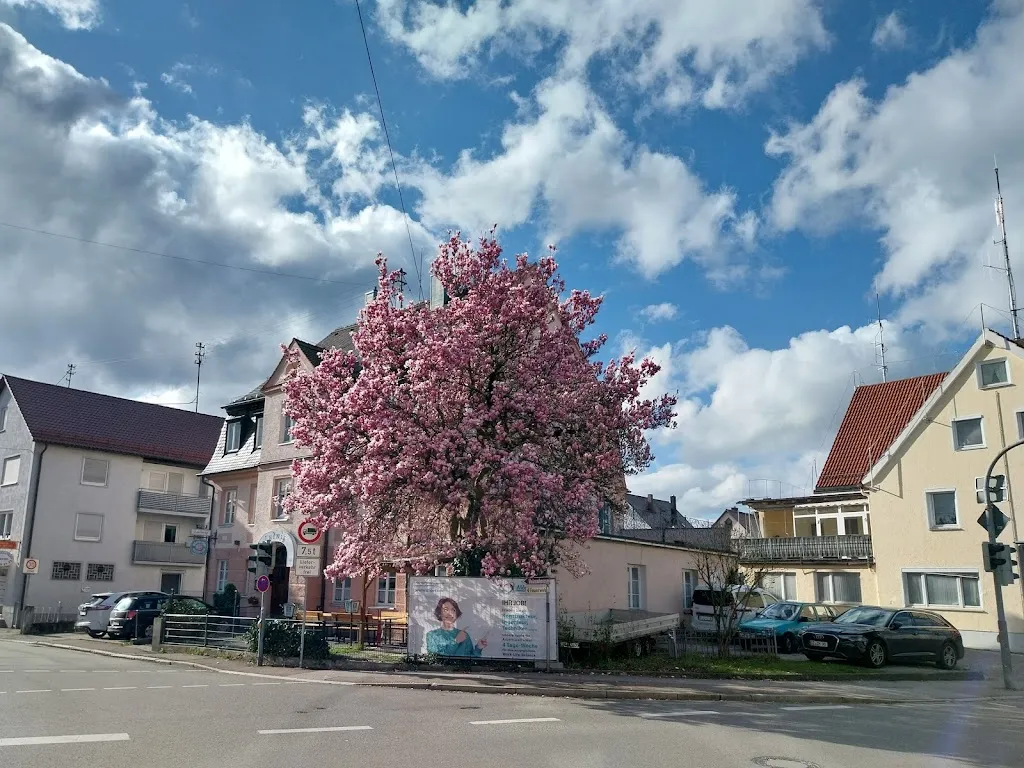 Star Pizza-Service restaurant in (Schwaben)