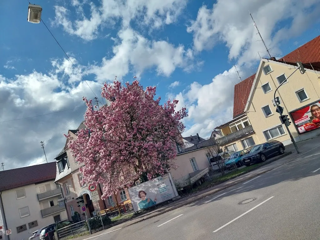 Star Pizza-Service__slider_image_2