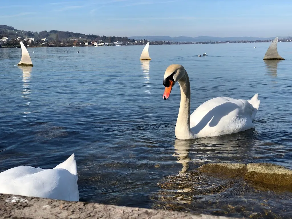 Haihappen GmbH_Lachen_slider_image_3