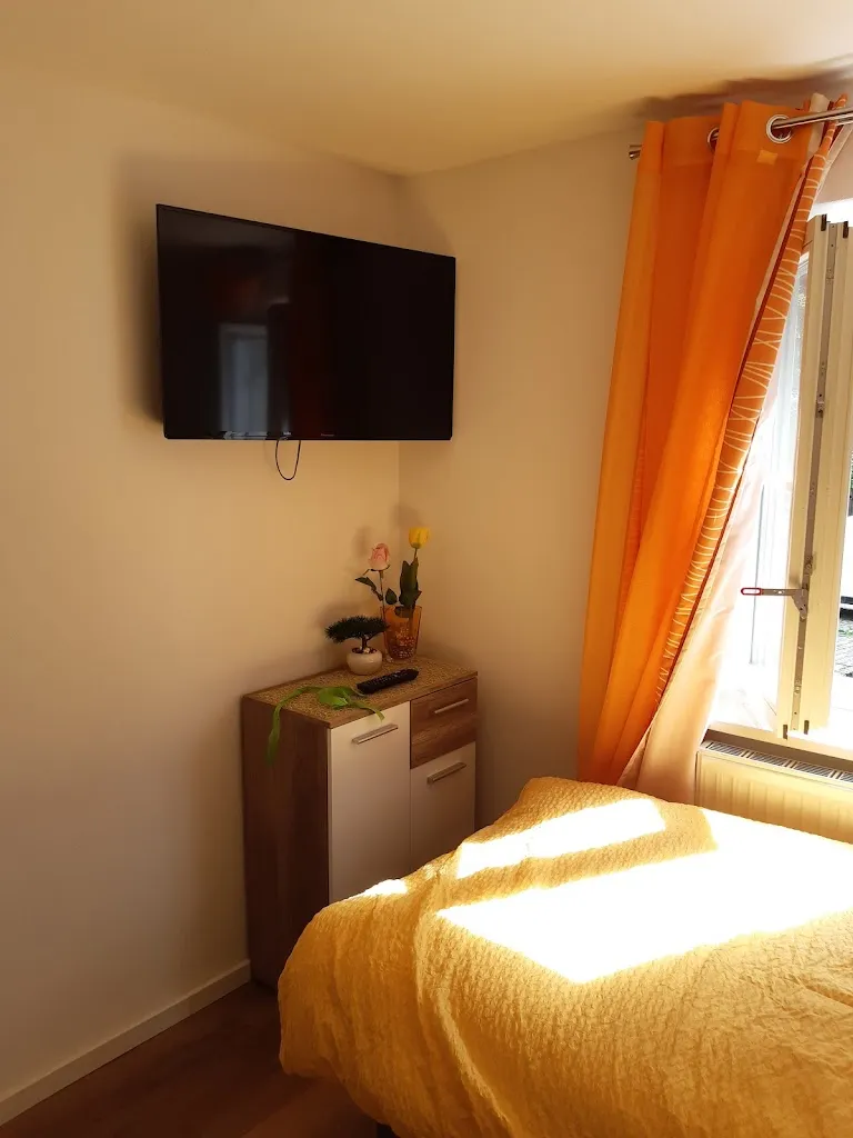 Elisa Fontana_Restaurant Sarker's Masala_Lech_review